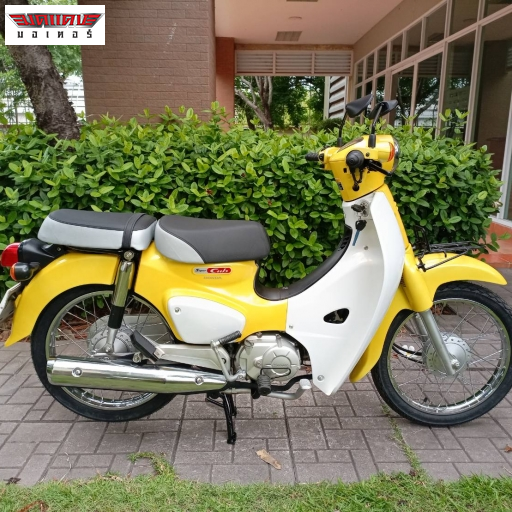 Super Cub